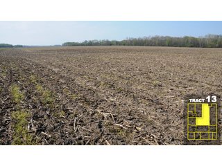 Property photo 71 - Land Auction 1035 Acres In 16 tracts - Farm Land - Sullivan Co. Indiana & Clark Co., Illinois
